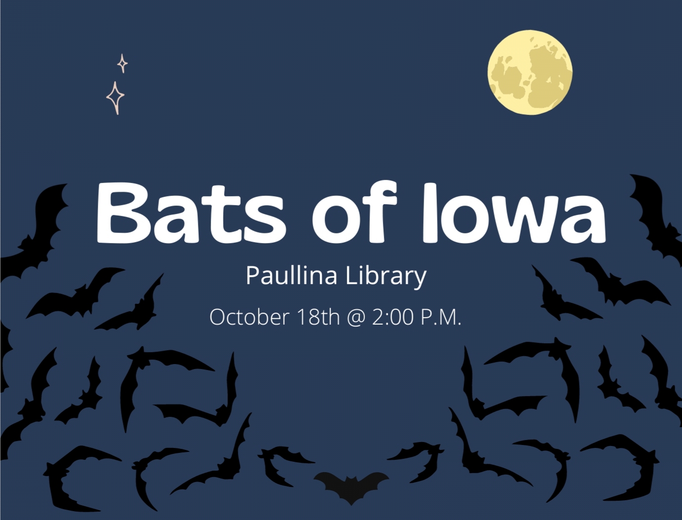 Bats of Iowa.jpg